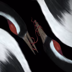 270