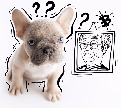 Bullishly Bred - Real French Bulldogs