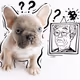 Bullishly Bred - Real French Bulldogs