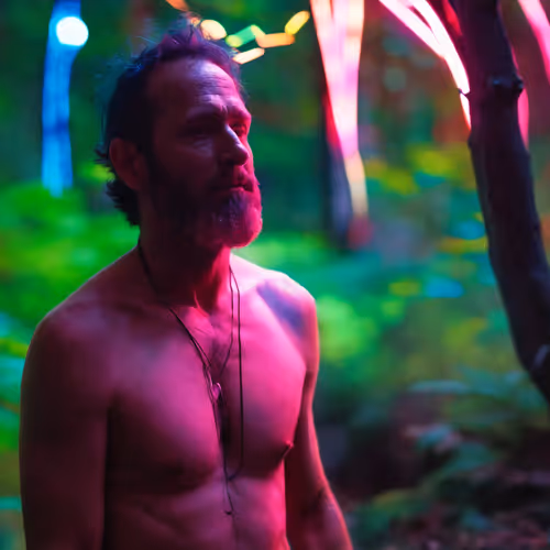 Forest Encounters Neon Cruising