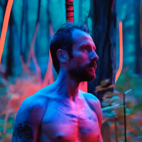Forest Encounters Neon Cruising
