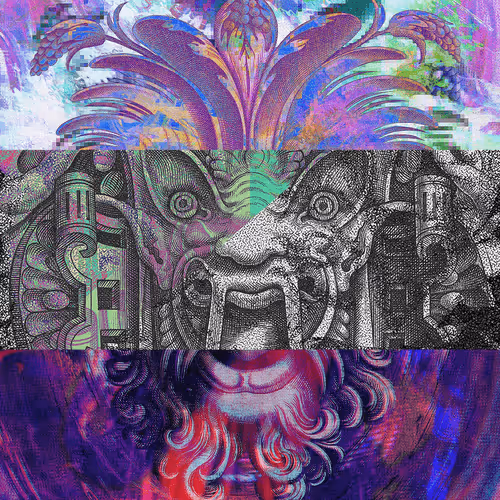 Flemicollection