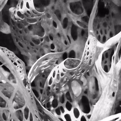 Light and Shadow - qFdssrnQc0