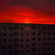 Sanguine