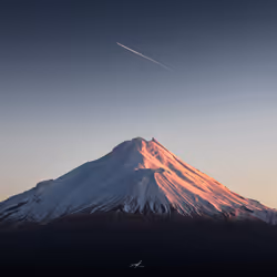 V I V I D © - Rocket