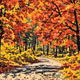 #344 Autumn Pathway