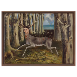 The Wounded Deer #32/58