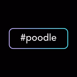 #poodle