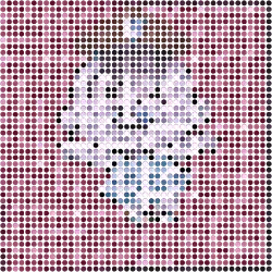 DOTS DOT #1