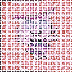 DOTS DOT #5