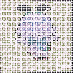 DOTS DOT #2
