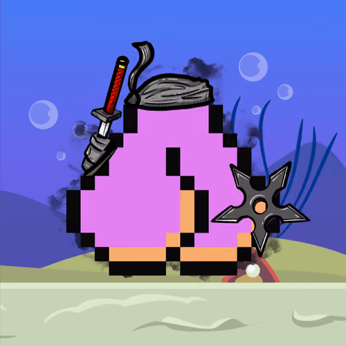 Ninja Sack #2615
