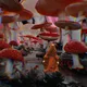 Wonderland - YRATDO7Txw