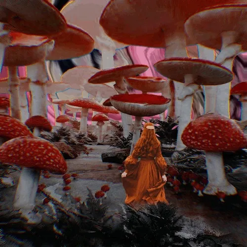 Wonderland - YRATDO7Txw