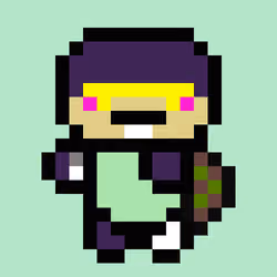 comely turtles #1118