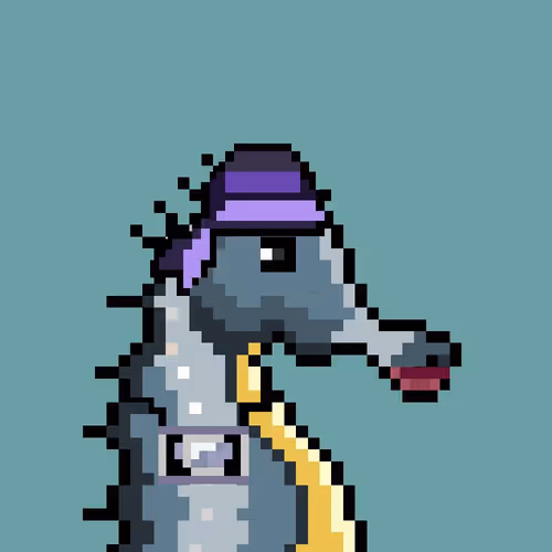 Crypto Seahorse 1
