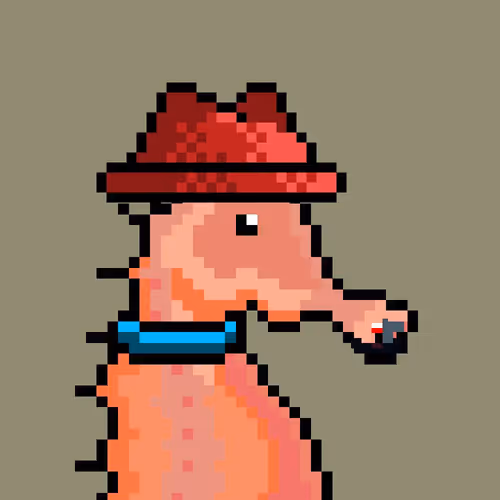 Crypto Seahorse 1