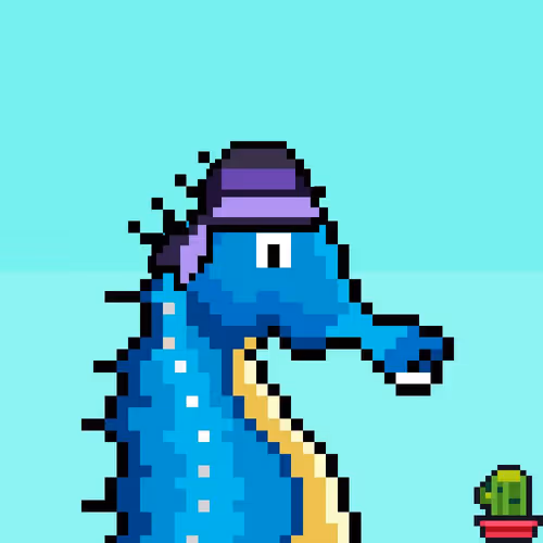Crypto Seahorse 1
