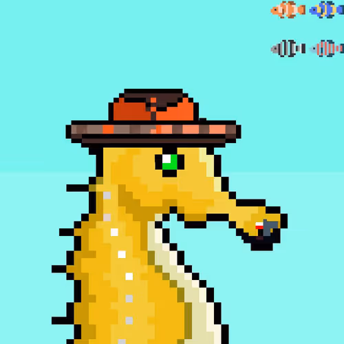 Crypto Seahorse 1