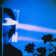 Absentia