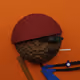 232