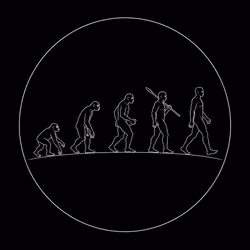 Onchain Human Evolution