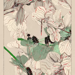 Polypaths | 植徑集 #551