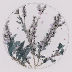 Polypaths | 植徑集 #394