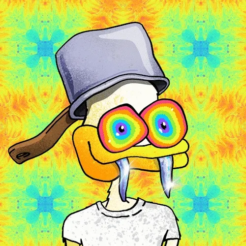 Illusion Duck