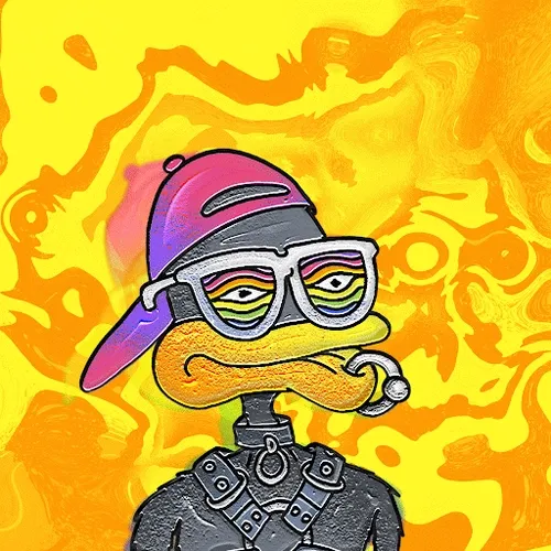 Illusion Duck