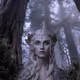 Magical Explorations