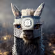 Llama #959