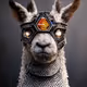 Llama #23