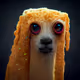 376