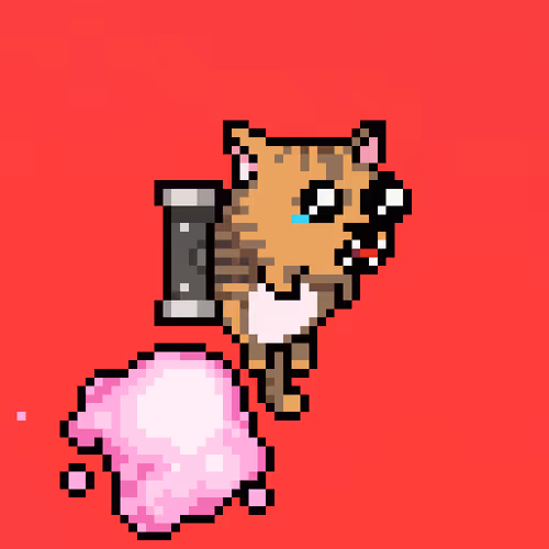 Jetpackcat Nft