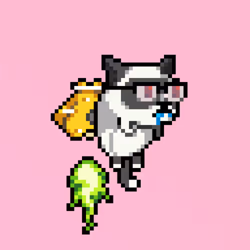 Jetpackcat Nft