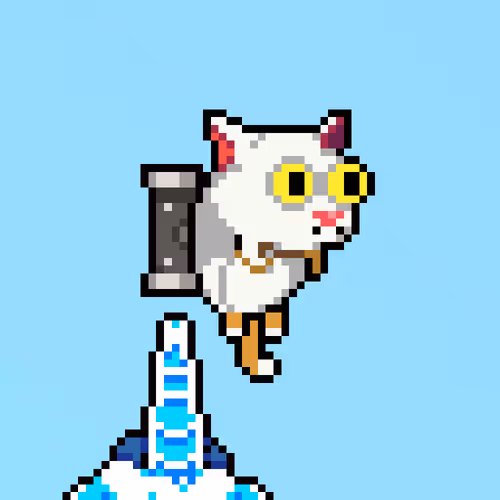 Jetpackcat Nft