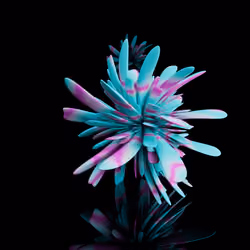 Harmonics Volume 2 #2204