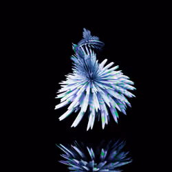 Harmonics Volume 2 #5504