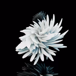 Harmonics Volume 2 #3240