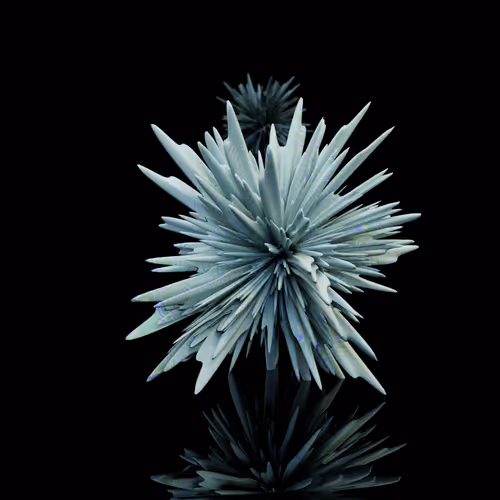 Harmonics Volume 2 #3119