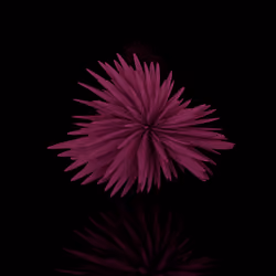 Harmonics Volume 2 #5393