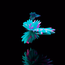 Harmonics Volume 2 #6805