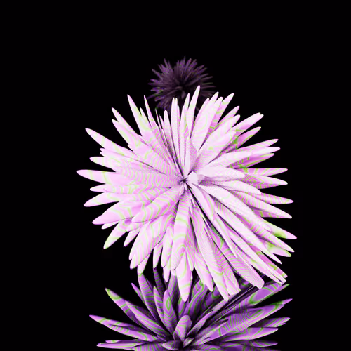 Spherical Harmonics Volume 2