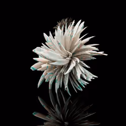 Harmonics Volume 2 #2471