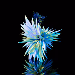 Harmonics Volume 2 #858