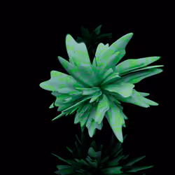 Harmonics Volume 2 #2616