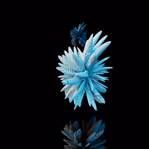 Harmonics Volume 2 #3815