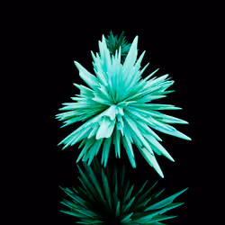 Harmonics Volume 2 #5120