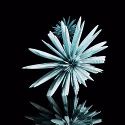 Harmonics Volume 2 #4775